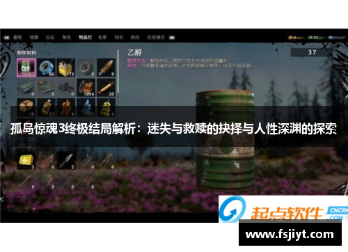 孤岛惊魂3终极结局解析：迷失与救赎的抉择与人性深渊的探索