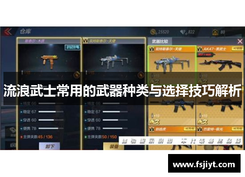 流浪武士常用的武器种类与选择技巧解析