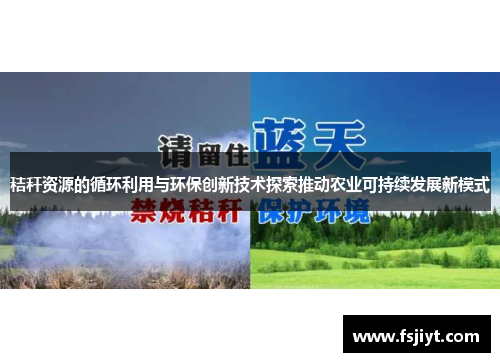 秸秆资源的循环利用与环保创新技术探索推动农业可持续发展新模式