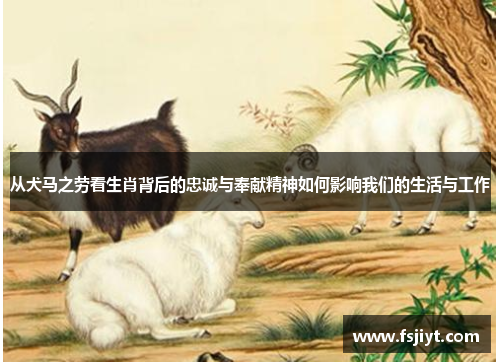 从犬马之劳看生肖背后的忠诚与奉献精神如何影响我们的生活与工作